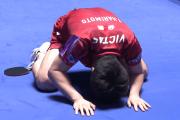 乒乓球澳门世界杯：张本智和险胜对手跪地庆祝，日本3大主力晋级
