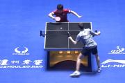 乒乓球澳门世界杯：张本智和险胜对手跪地庆祝，日本3大主力晋级